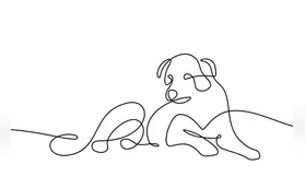 Orelha: um cão de rua, um herói da humildade