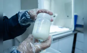 Solidariedade: a importância da doação de leite materno