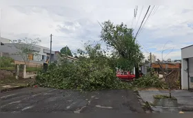 Temporal derruba árvores, destelha casas e deixa mais de mil imóveis sem luz em Londrina