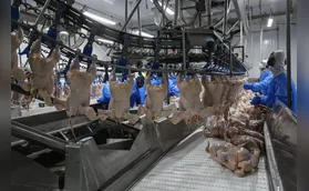 UE anuncia suspensão de produtos de origem animal do Brasil