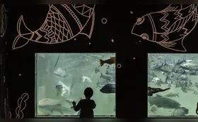Variedade de peixes atrai famílias ao Aquário da ExpoLondrina
