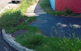 "Arborização das calçadas"