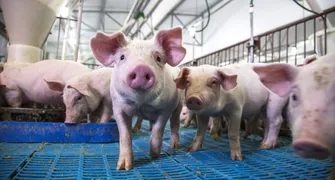 Agro vive expectativa por acordo de livre comércio