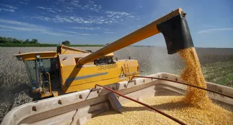 AgroTec de inverno reúne cooperados e especialistas em Londrina