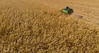 Em 4 anos, contratação do seguro rural cai 68% no Paraná