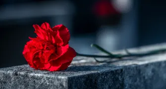 Falando da velha morte: por que não há crematórios municipais?