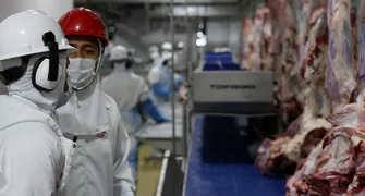 Paraná abate 1,6 milhão de cabeças de bovinos em 2025