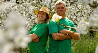 Paraná é o terceiro maior produtor nacional de peras