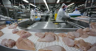 Paraná exporta 40% da carne de frango do país