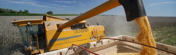 Imagem ilustrativa da imagem AgroTec de inverno reúne cooperados e especialistas em Londrina
