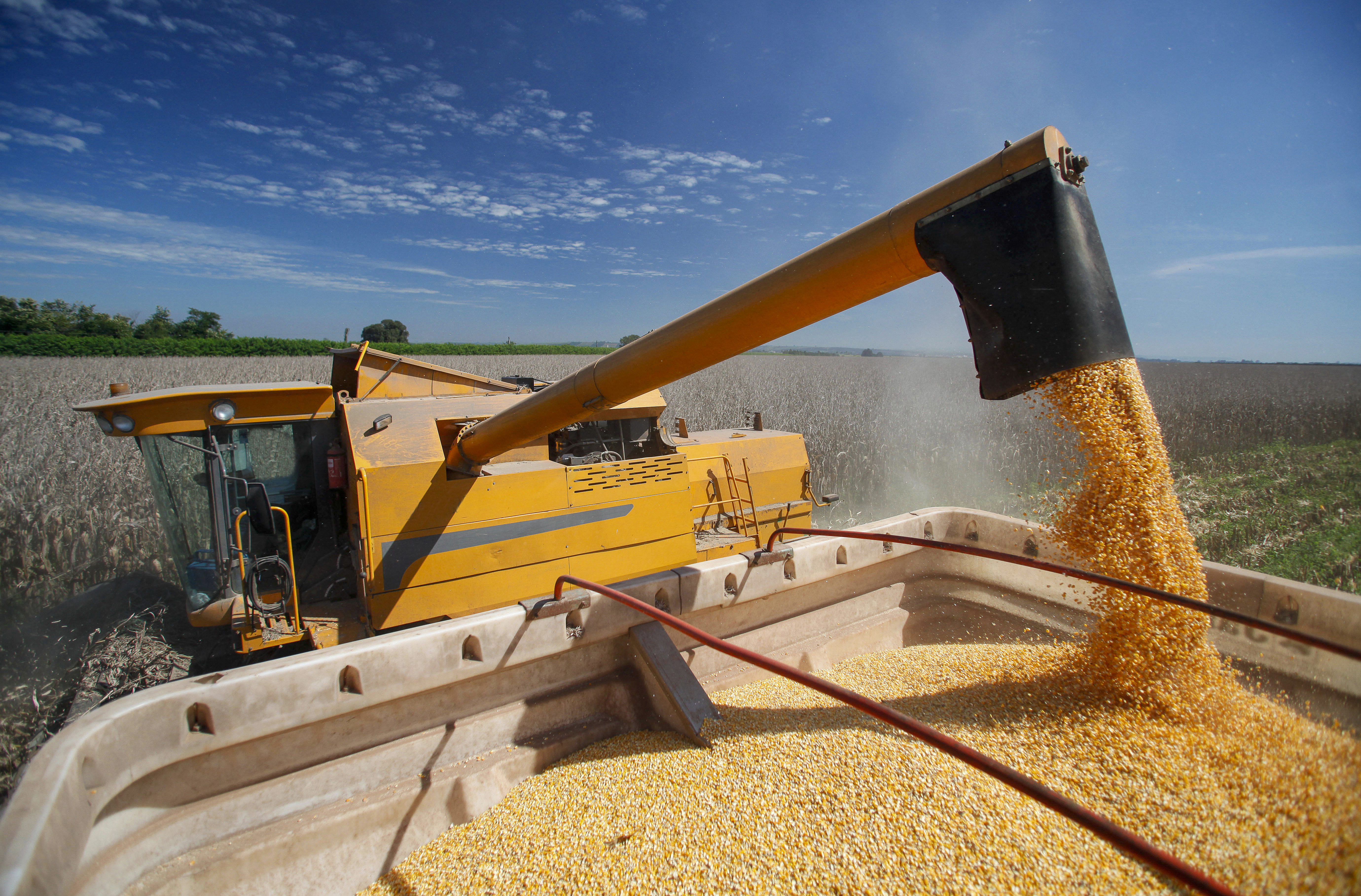 AgroTec de inverno reúne cooperados e especialistas em Londrina
