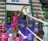 Ana Marcelin fica no Sancor Vôlei Londrina para a Superliga 2026/27