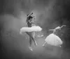 Atração internacional do FILO traz 'bailarinas em chamas'