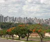 Câmara discute incentivo para regularização de imóveis e redução de ITBI