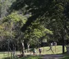 Consemma leva ao Tribunal de Contas denúncia sobre uso do FMMA