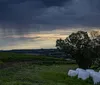 El Niño é confirmado e Simepar prevê aumento de chuvas até dezembro