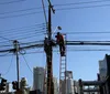 Operadoras retiram 300 kg de cabos em mutirão de limpeza