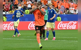 Com início avassalador, Holanda goleia a Suécia