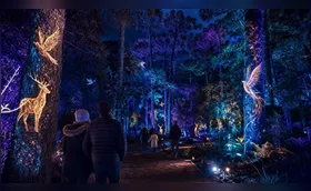 Curitiba vive temporada de inverno com atrações para toda a família até agosto