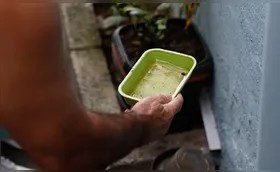 Casos de dengue têm queda de 72% em Londrina