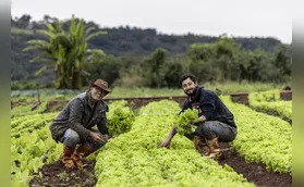 "Deus me deu esse dom", diz agricultor que dedicou a vida à terra