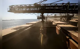 Diversificação fortalece agro paranaense contra tarifaço e crises externas