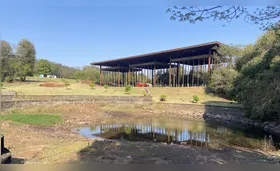Jardim Botânico deve conhecer empresa da revitalização na próxima semana