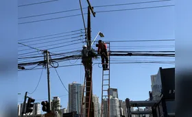 Operadoras retiram 300 kg de cabos em mutirão de limpeza
