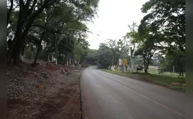 Projeto prevê revitalização da Estrada do Limoeiro