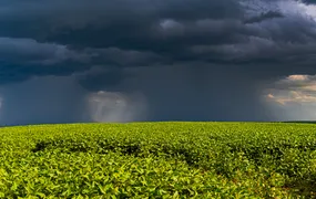 El Niño exige planejamento de pequenos produtores rurais