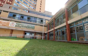 Londrina continua processo de eleição do Conselho Municipal de Cultura
