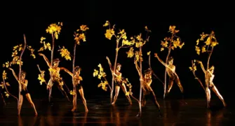 Cia MOMIX apresenta 'Botanica' em Curitiba