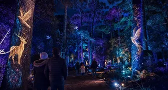 Curitiba vive temporada de inverno com atrações para toda a família até agosto