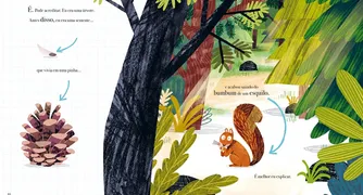 Da árvore ao papel, saiba como nasce um livro