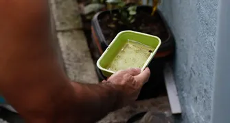 Casos de dengue têm queda de 72% em Londrina