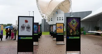 Exposição 'Reciclando Olhares' une arte e educação ambiental em Foz