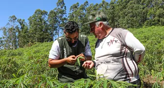 Faep e UEM vão oferecer curso de extensão em ATeG