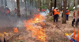 Faep reforça importância da prevenção aos incêndios no campo