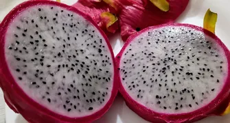IDR prepara 4 novas cultivares para fortalecer fruticultura