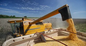 MP de dívida rural foca em perdas climáticas, diz Durigan