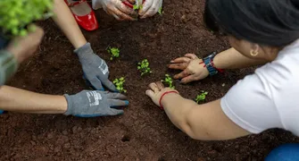 Oficinas sobre hortas comunitárias mobilizam cinco mil participantes no PR e MS