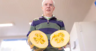 Pesquisador da UEPG desenvolve semente de abóbora que já nasce sem casca