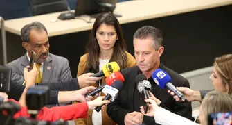 Relator cita depoimentos para recomendar cassação de Anne