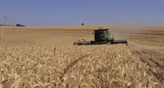 Seca recua em várias regiões do Paraná, aponta monitor nacional