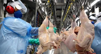 Senado aprova crédito de R$ 15 bilhões para exportadores e agroindústria