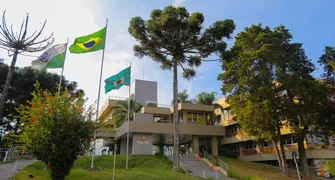 TRE-PR avalia suspensão de pesquisa contratada por jornal de Santa Catarina