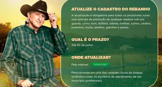 Último dia para produtores do Paraná atualizarem cadastro de rebanhos