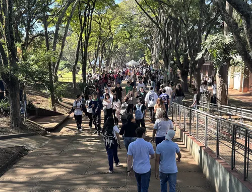 cadeado