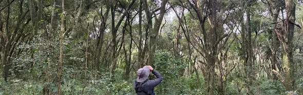 Imagem ilustrativa da imagem Itaipu e Embrapa realizam inventário de fauna para monitorar 'infraestrutura verde'