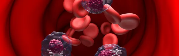 Imagem ilustrativa da imagem Paraná deve registrar 840 novos casos de leucemia por ano até 2028